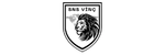SNS Vinç